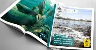Réalisation de publication Publication